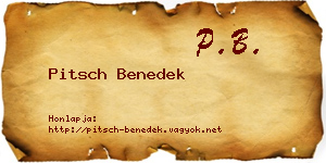 Pitsch Benedek névjegykártya